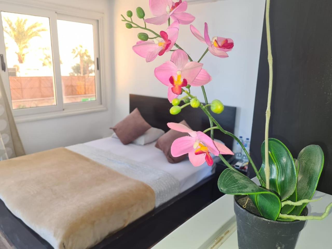 Lilly Rooms And Studio Hurghada Eksteriør billede